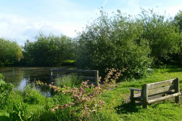 Willows at Pollaughan is located in Portscatho