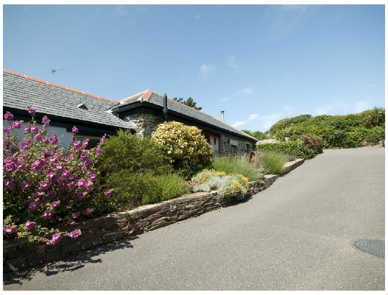 Click here for more about Lavender Barn